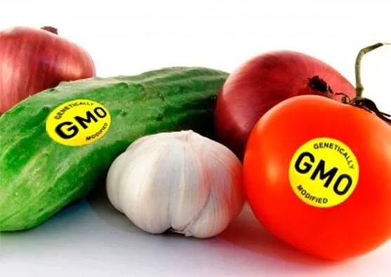 ГМО ваш друг: преимущества генно-модифицированных овощей перед обычными